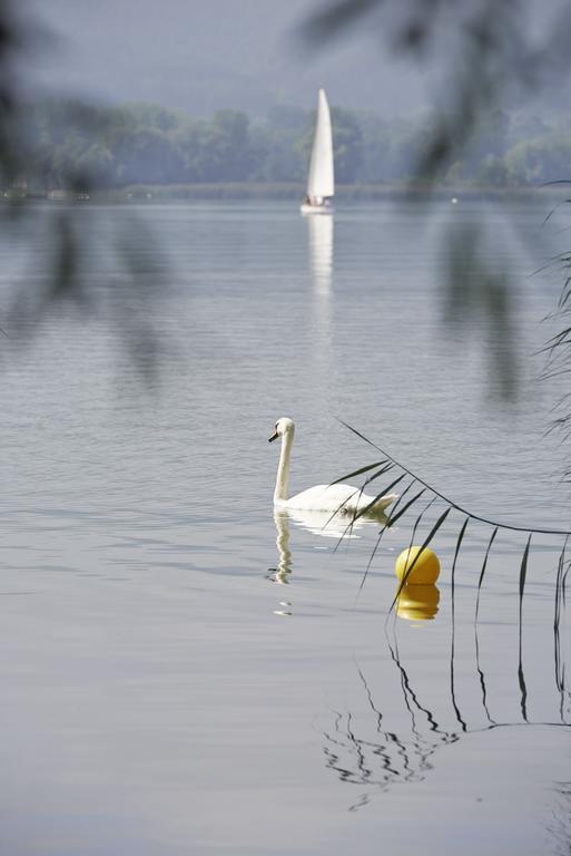 Hotel Bora Hotsparesort Radolfzell am Bodensee Exteriér fotografie